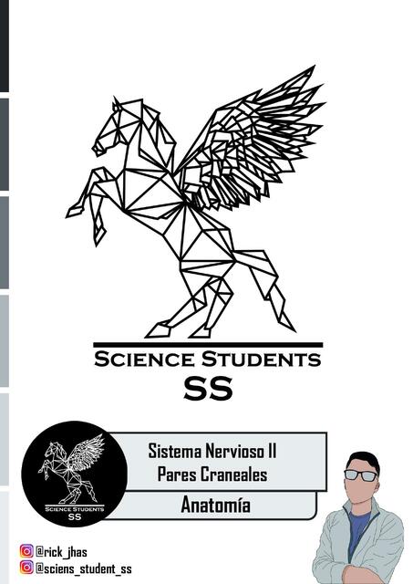 Sistema Nervioso II - Pares Craneales