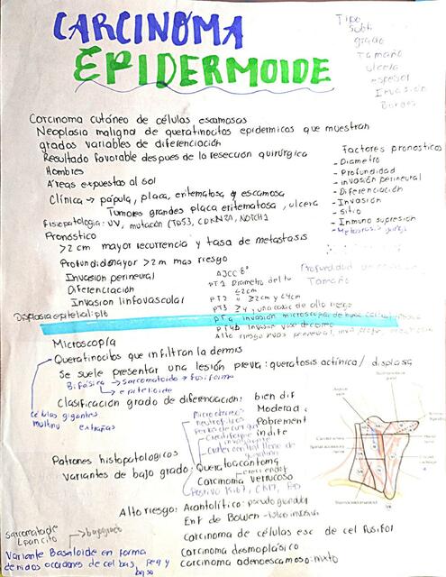 Carcinoma epidermoide