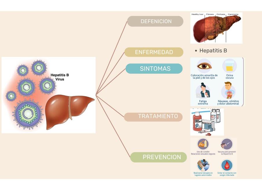 Hepatitis B  