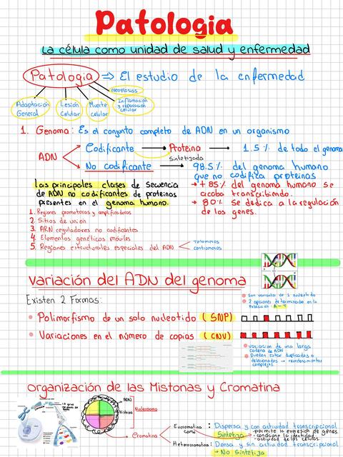 La Célula como Unidad de Salud y Enfermedad 