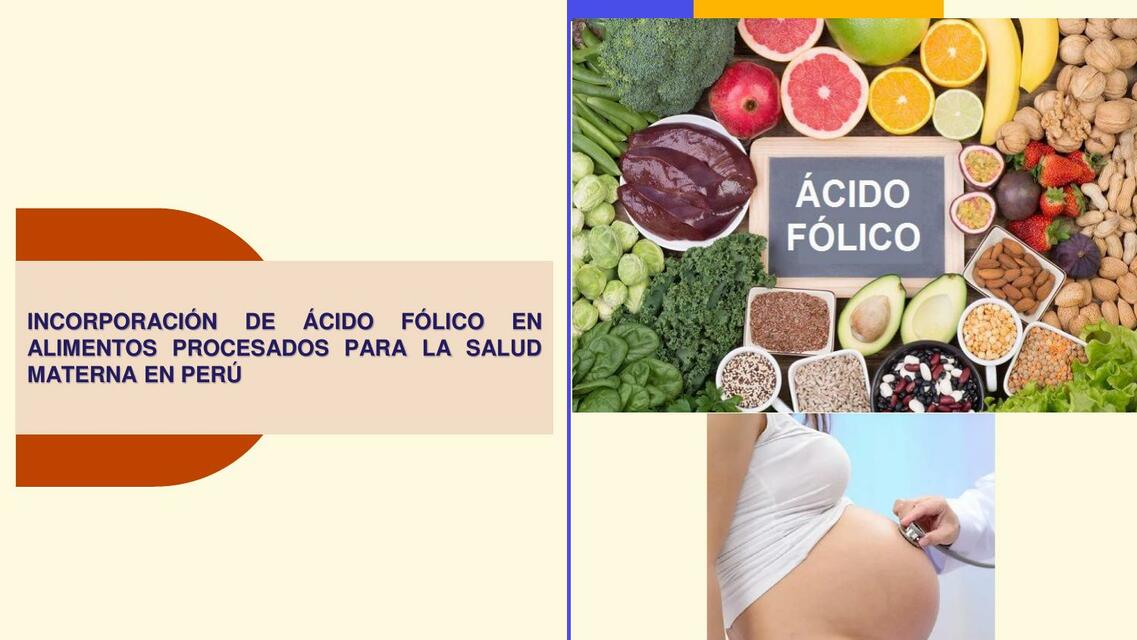 Incorporación de Ácido Fólico en Alimentos Procesados para la Salud Materna en Perú 