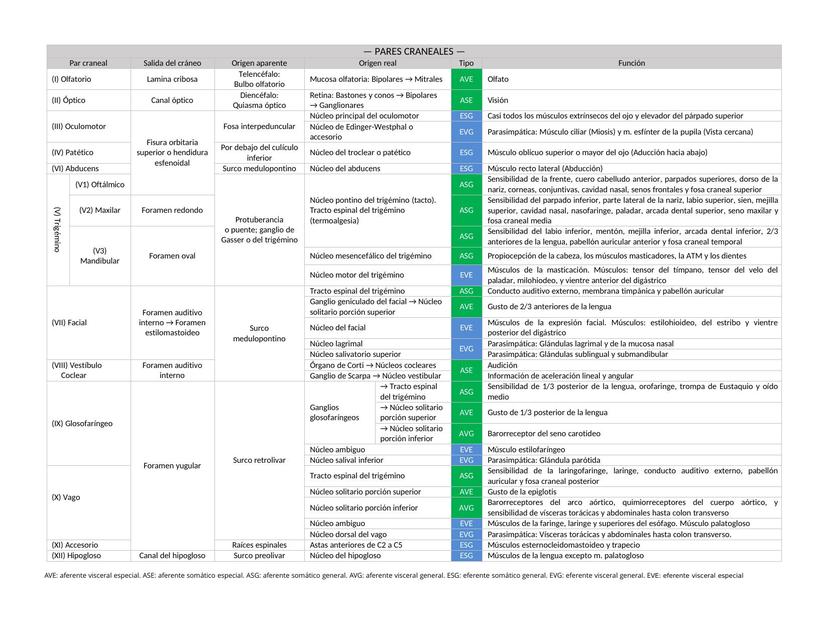 Tabla pares craneales (nervios craneales)