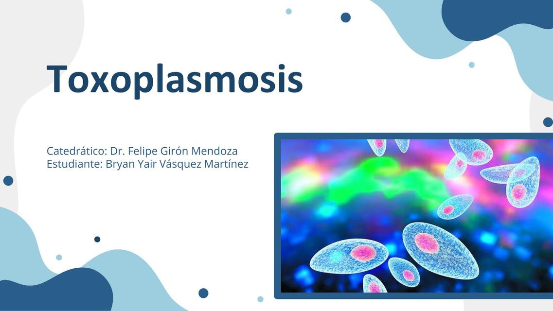 Toxoplasmosis 