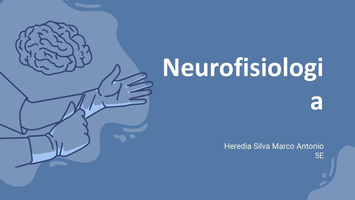 Neurofisiología 