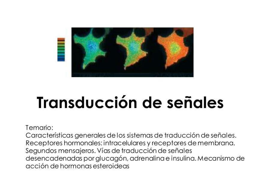 Transduccion de señales 1