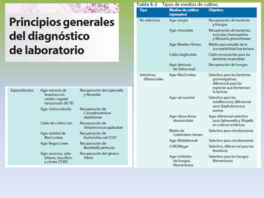 Diagnostico serologico y molecular