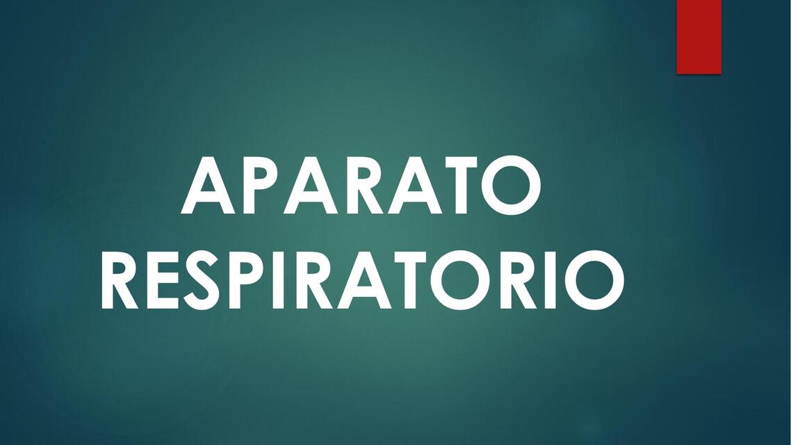 Aparato respiratorio  