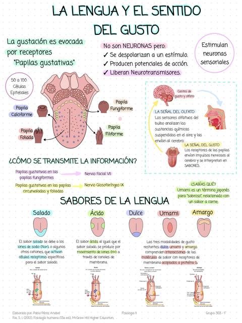 La lengua y el sentido del gusto 