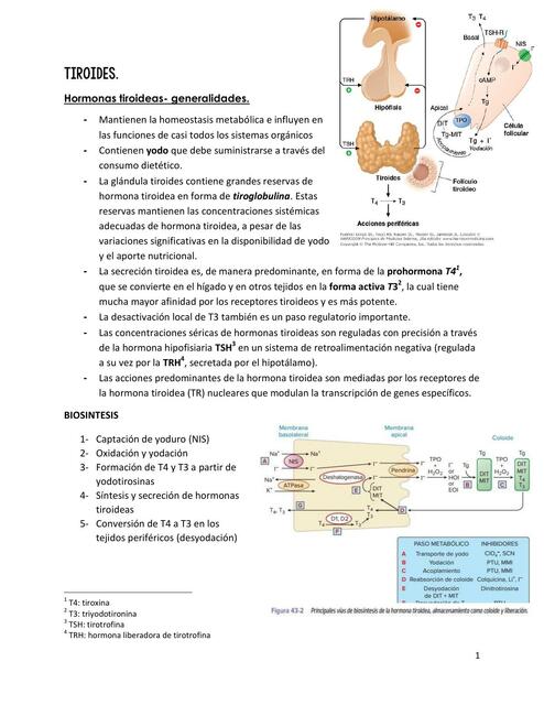 Farmacología Tiroidea 