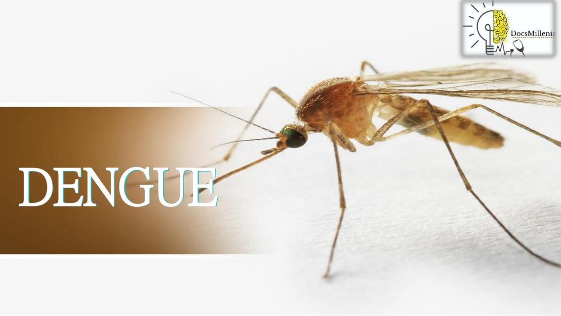 DENGUE