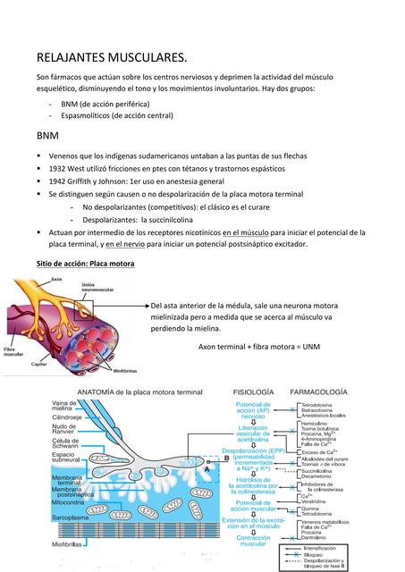 Relajantes musculares 