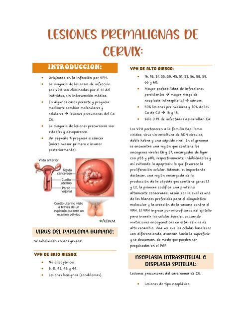 Lesiones Premalignas de Cervix