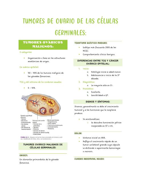 Tumores de ovario de las células germinales 