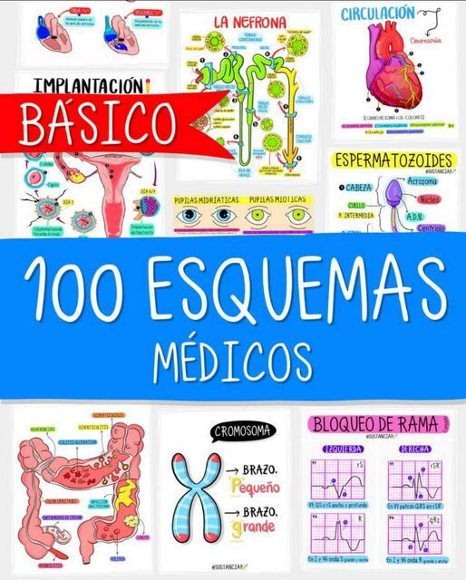 100 Esquemas Médicos