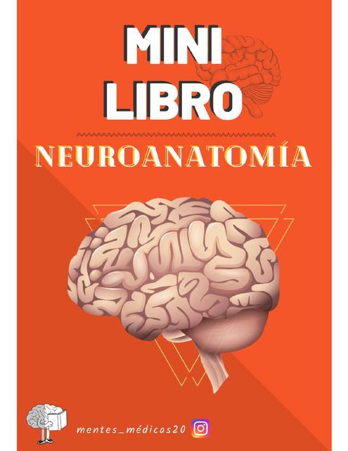 MINI-EBOOK NEUROANATOMÍA