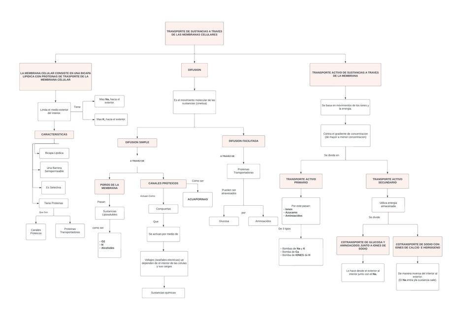 Transporte de sustancias a través de las membranas celulares