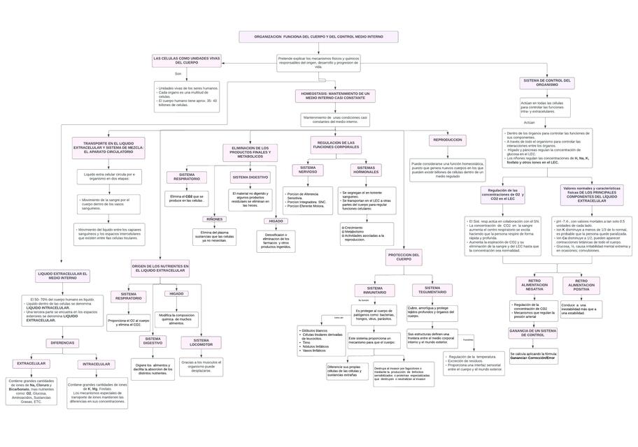 Organización funcional del cuerpo y del control medio interno