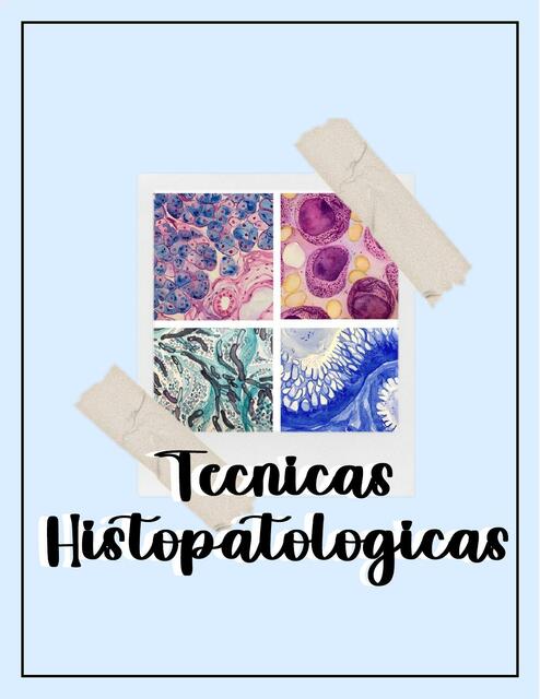 Guía Técnicas Histopatológicas Patología 