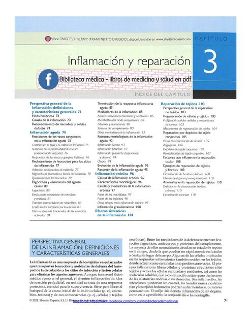 Inflamación y reparación