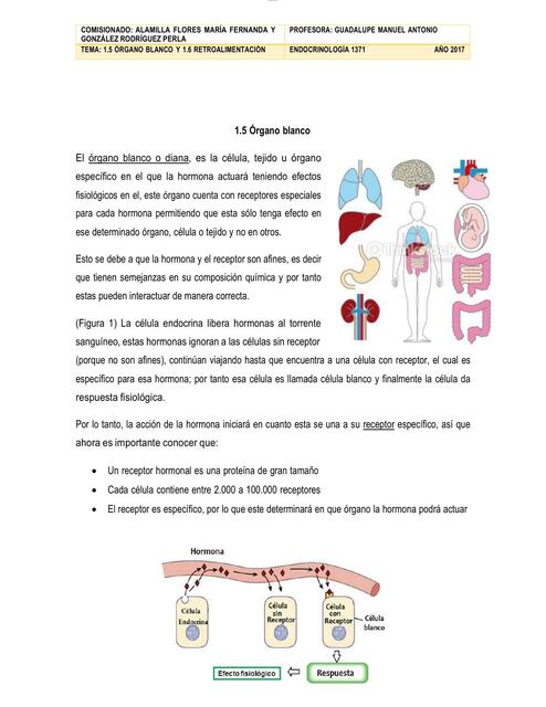 Órgano blanco y Retroalimentación | Universidad Nacional Autónoma de ...