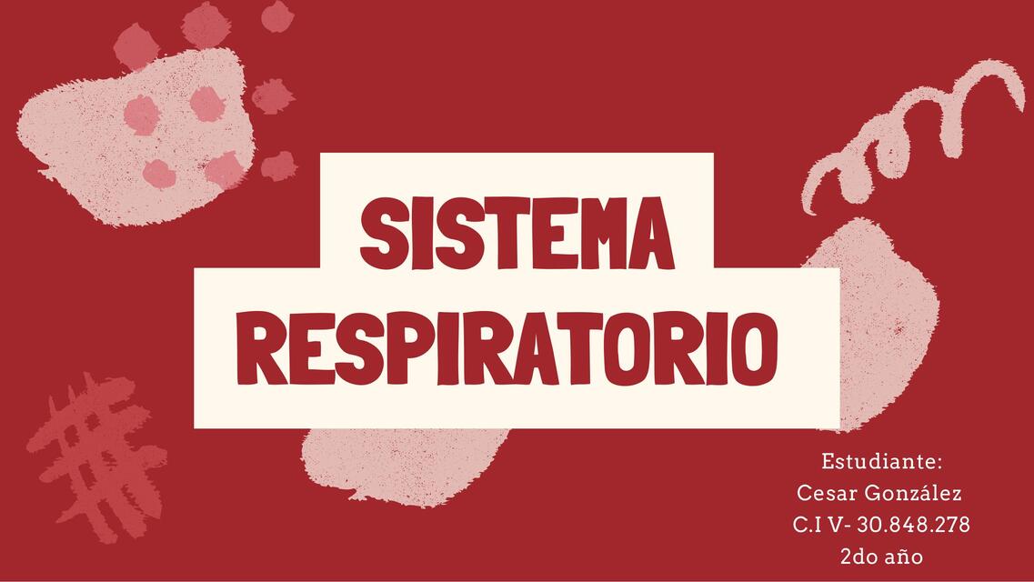 Sistema respiratorio 