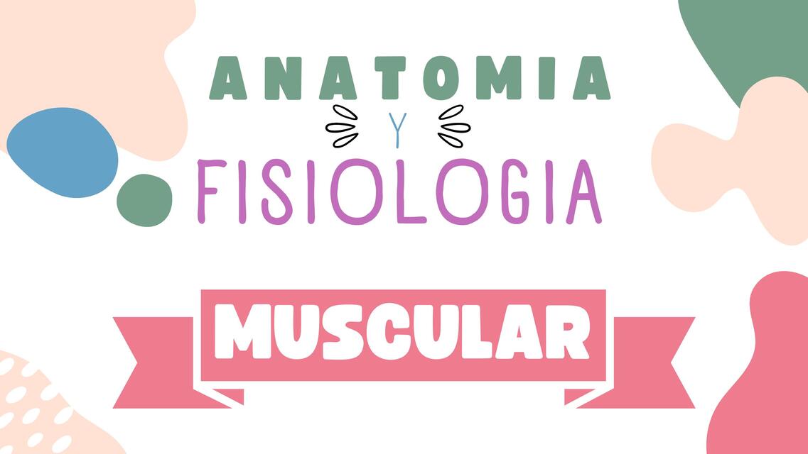 Anatomia y fisiologia muscular y nerviosa 