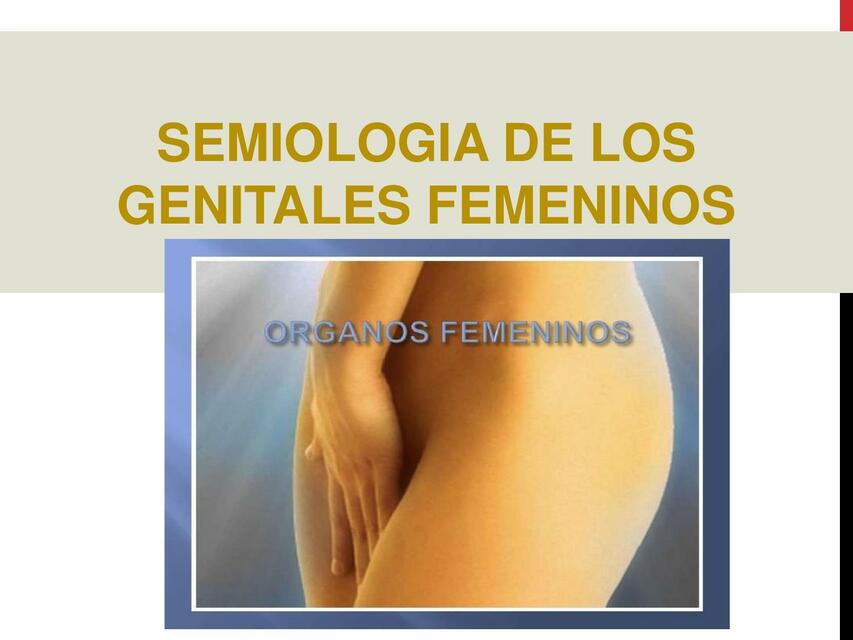 Semiología de los Genitales Femeninos 