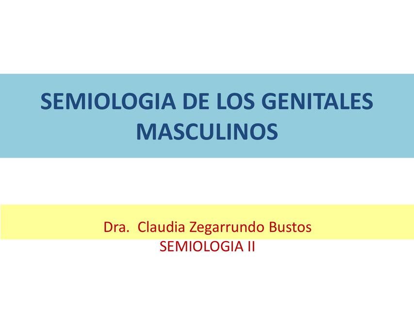 Semiología de los genitales masculinos 