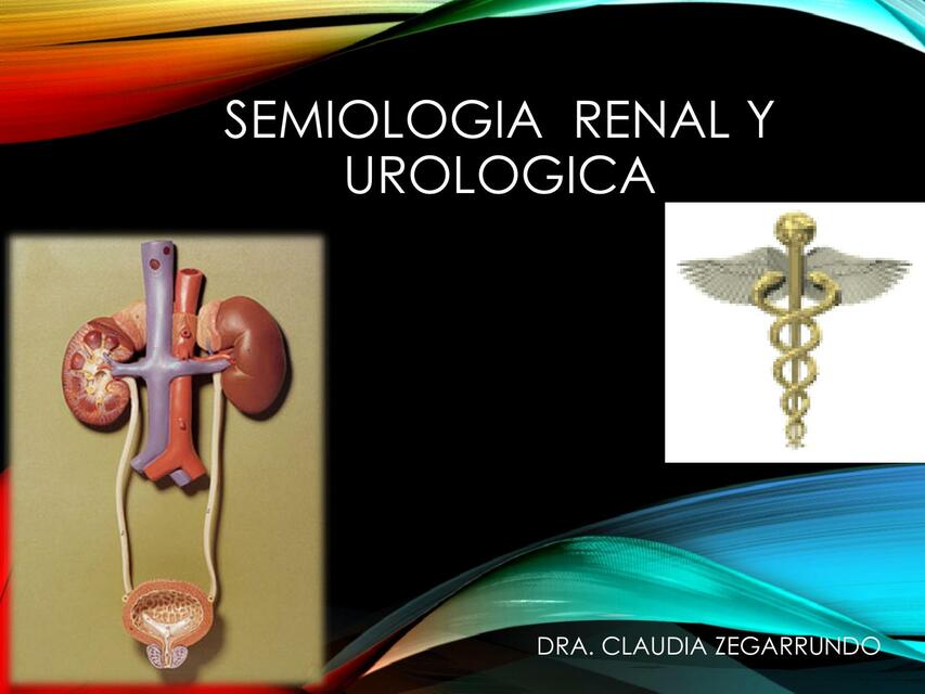 Semiología Renal y Urológica 