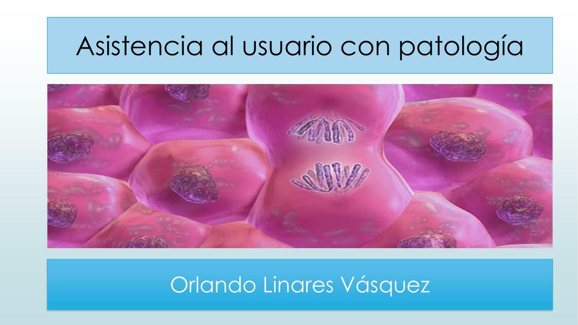 Asistencia al usuario con patologia 