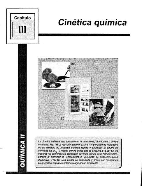 QuimicaII III Cineticaquimica