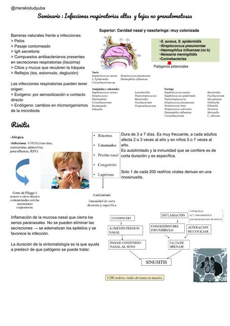 Seminario: Infecciones respiratorias altas y bajas no granulomatosas