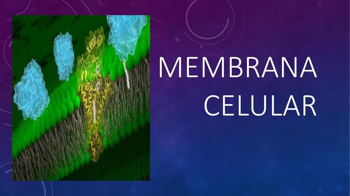 Membrana celular