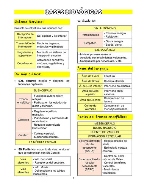 Bases biológicas 