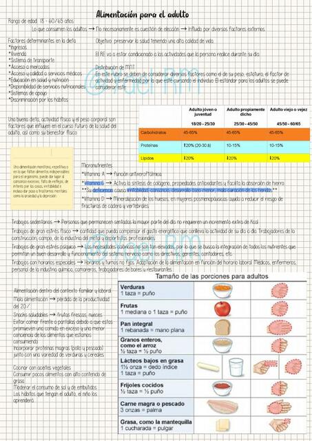 Alimentación del adulto