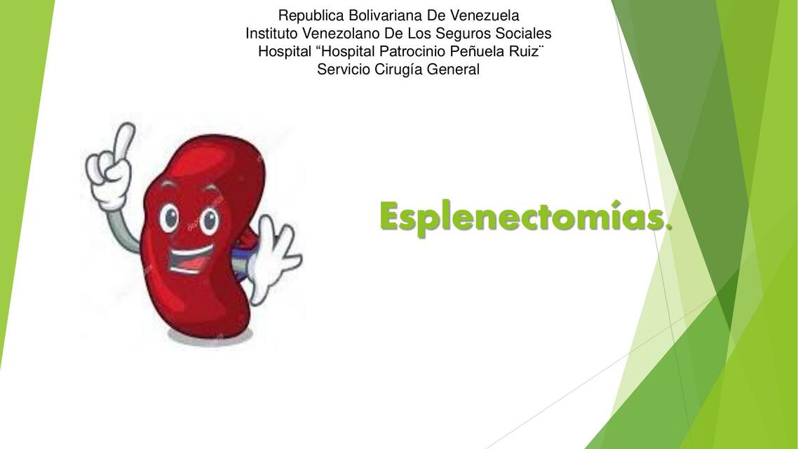 Esplecnectomia