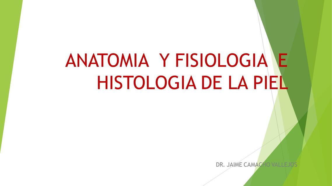 Anatomía y fisiologia e histologia de la piel    