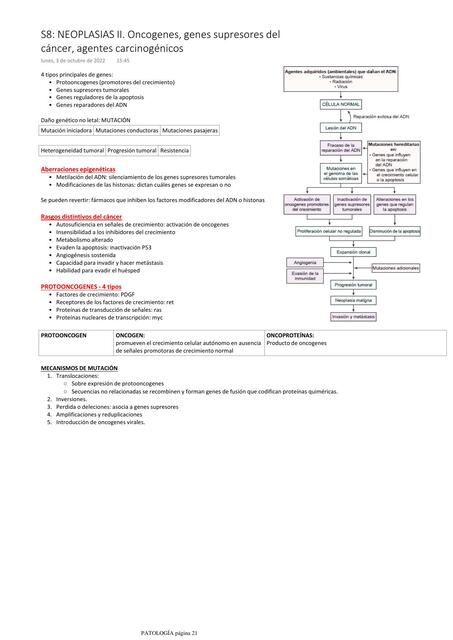 Neoplasias: Oncogenes, genes supresores del cáncer, agentes carcinogénicos