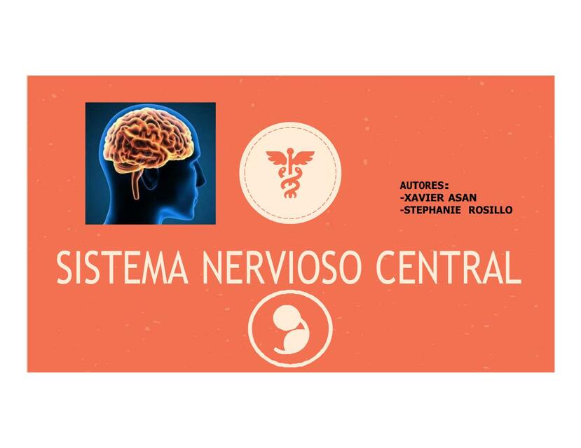 Sistema nervioso central 