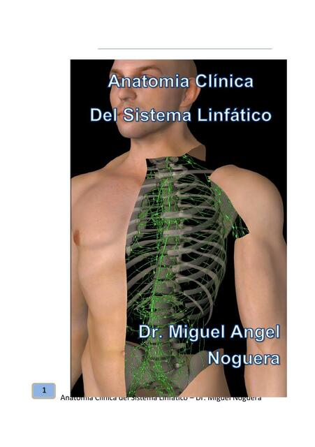 Anatomia clinica del sistema linfatico 