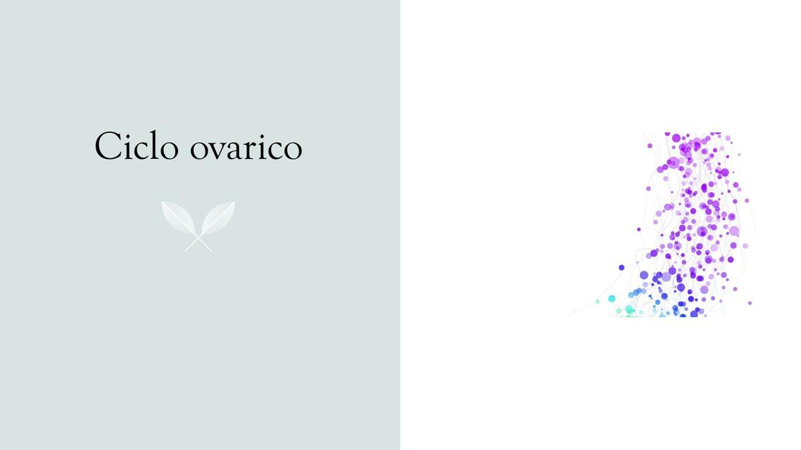 Ciclo ovarico