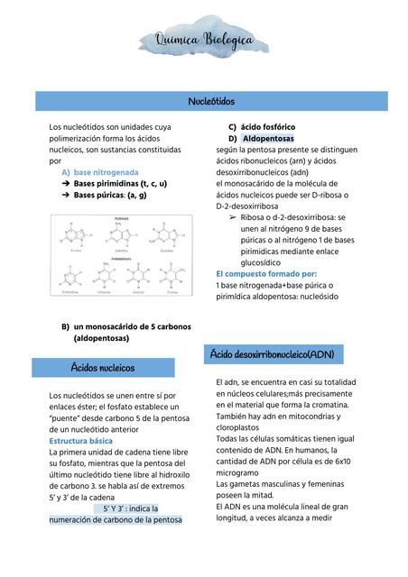 Química Biológica 