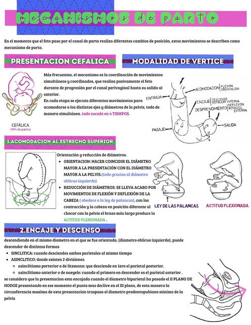 Mecanismos de parto