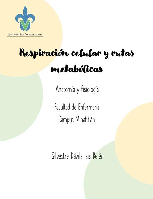 Respiración celular y rutas metabólicas