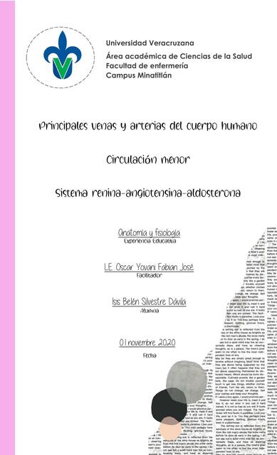 Circulación menor y sistema renina-angiotensina-aldosterona