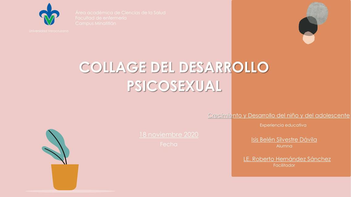 Desarrollo psicosexual y desarrollo fetal