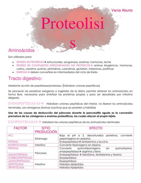 proteólisis bioquímica clínica