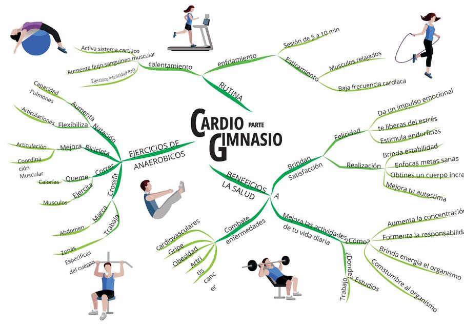 Cardio gimnasio 