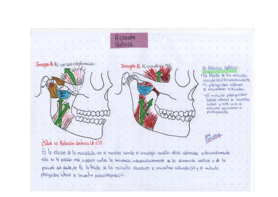 Relación céntrica (dibujo y mapa conceptual)