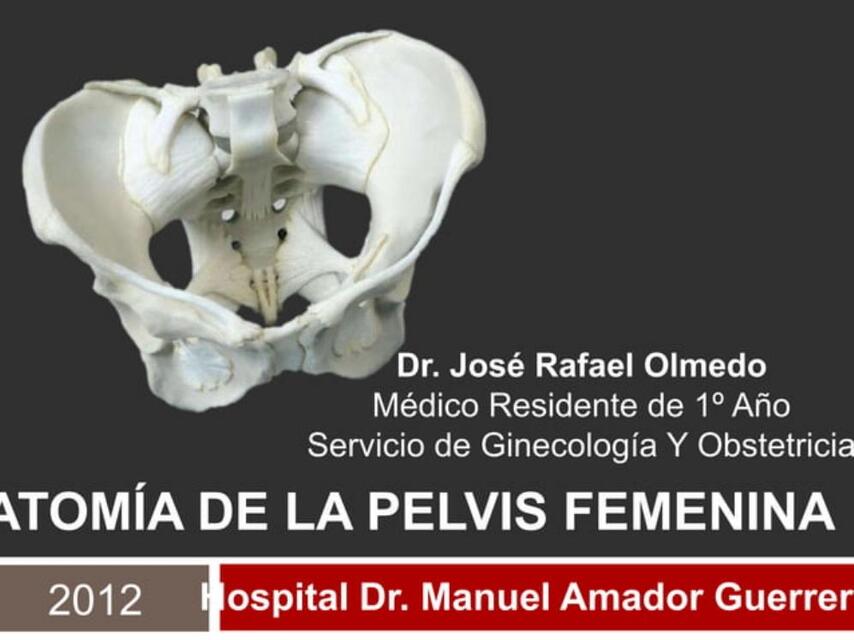 Anatomía de la pelvis femenina